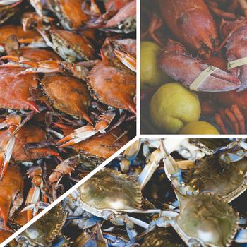 Collage of Crabs