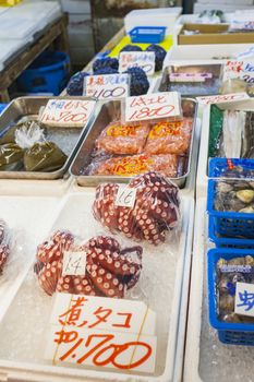 Red live octopus at Tsukiji fish market, Tokyo, Japan