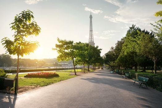 Calm morning in Paris