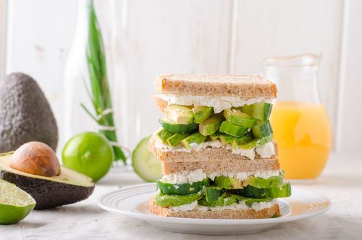 Bio healthy sandwich