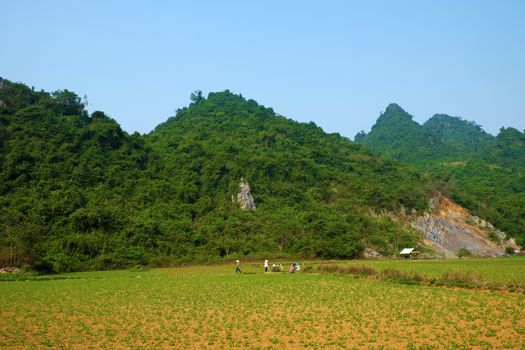 Beautiful countryside of Quang Binh, Viet Nam