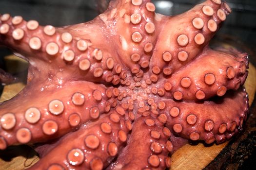 boiled octopus on cutting board ready to be cut