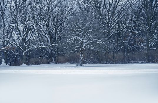 Midwest Winter Landscape