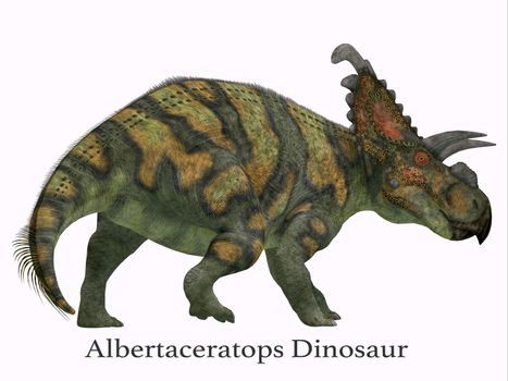 Albertaceratops Dinosaur Tail with Font