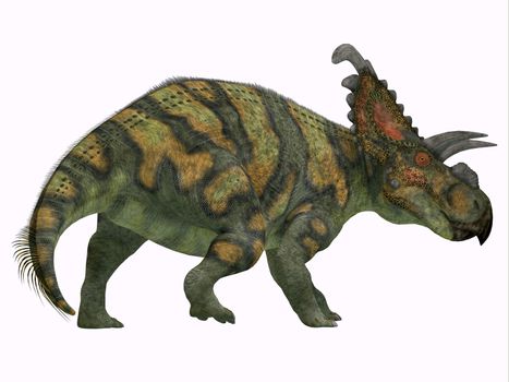Albertaceratops Dinosaur Tail