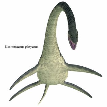 Elasmosaurus Aquatic Reptile with Font
