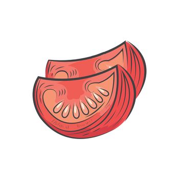 Sliced tomato icon and food vector watercolor