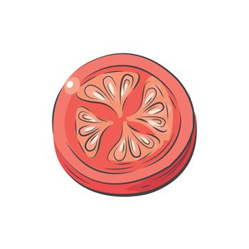 Sliced Tomato vector drawing watercolor