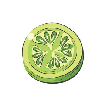 Sliced green Tomato vector drawing watercolor