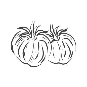 Two Tomato drawing icon