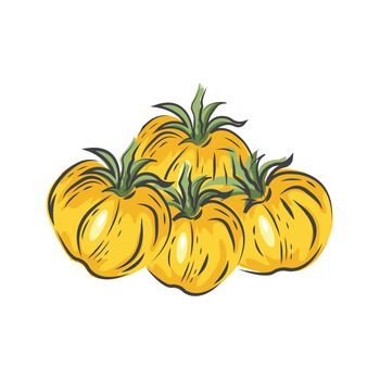 vector yellow Tomato drawing icon