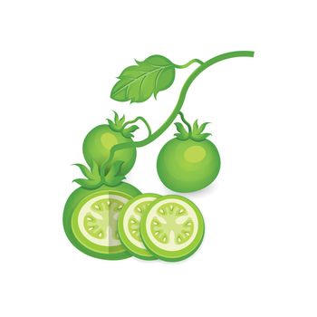 Set of Green Tomato 3D Icon 