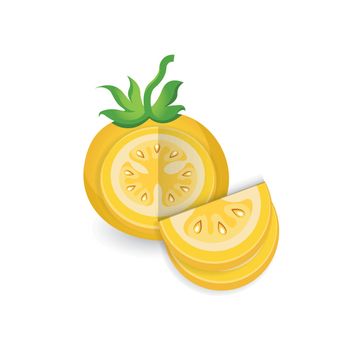 dissect Tomato Yellow Color icon