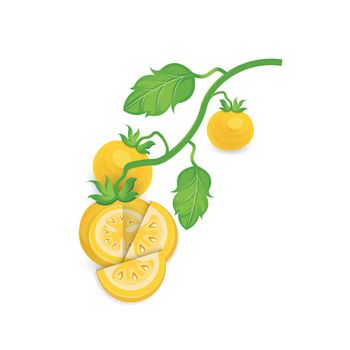 Tomato Yellow Color icon