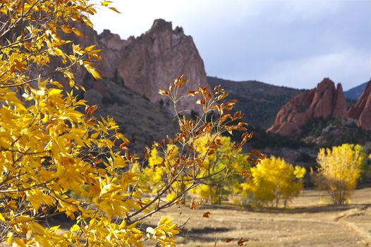 Yellow Colorado. Fall in Colorado State, USA. Garden of the Gods, Colorado Springs, CO.