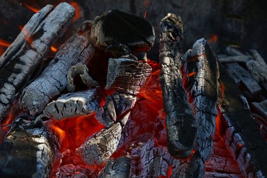 Blaze of bonfire wood fire flame spires in fireplace