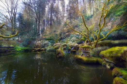 Lower Pond at Portland Japanese Garden