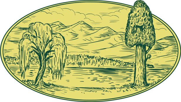Willow And Sequoia Tree Lake Mountains Oval Drawing