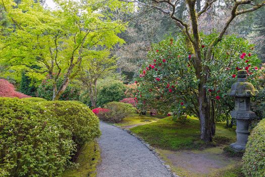 Path at Japanese Garden