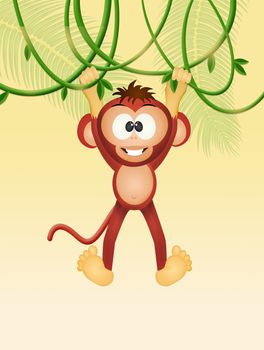 monkey on liana