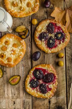 Traditional Czech cake with plums and prunes