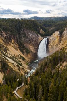 Lower Falls of the Grand Canyon of Yellowstone National Park.