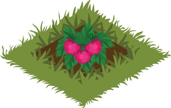 Isometric Cartoon Fruit Garden Bed Planted with Raspberry Bush