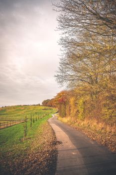 Curvy road in a countryside landscape in the fall with colorful trees and bushes by the road in a rural scenery