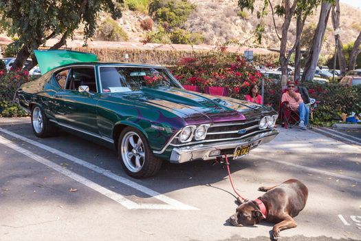 Green and blue 1969 Chevy Chevelle