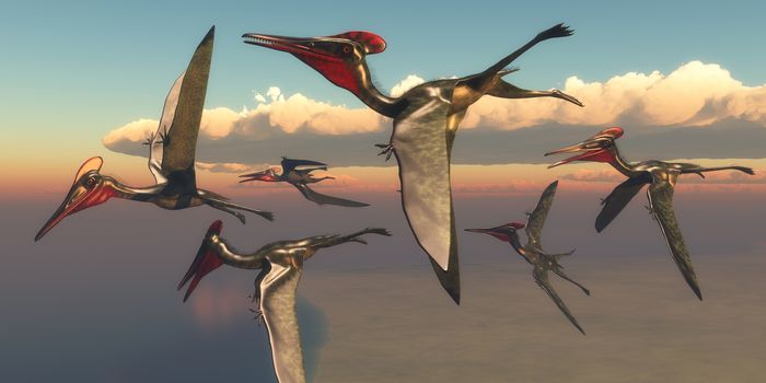 Pterodactylus Pterosaurs in Flight