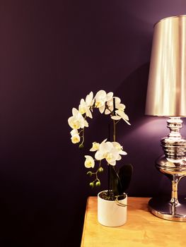 White orchid and metal lamp decorating interior in purple tones.