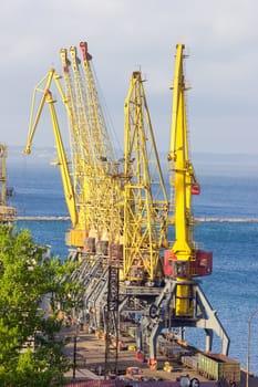 Group of harbor cranes in sea cargo port