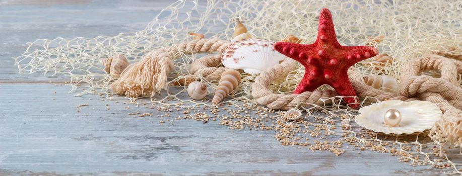sea shells in a fishnet