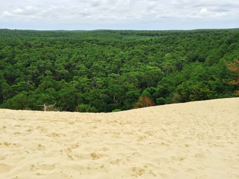 View over the forest from the Dune of Pilat in France