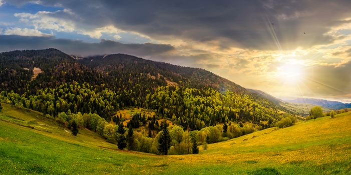 meadow with trees in mountains at sunset
