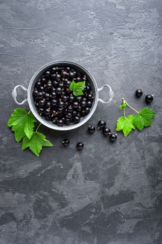 Blackcurrant berries with leaves, black currant
