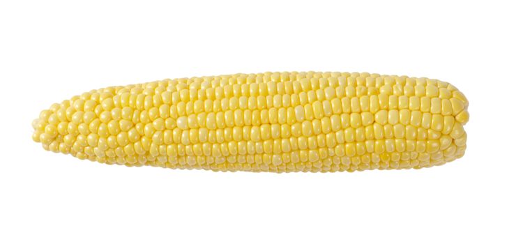 ripe corn cob