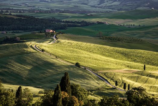Sun Setting in Val d'Orcia Tuscany