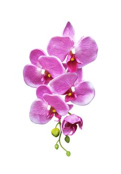 Pink artificial orchid flower isolated