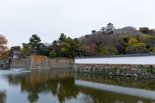 Marugame Castle in Japan at autumn
