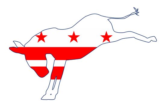 Washington DC Democrat Donkey Flag