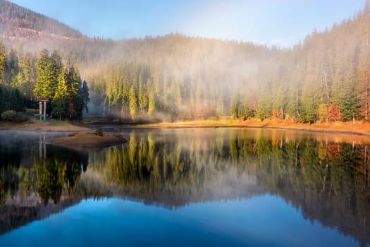 lake in foggy spruce forest in mountains