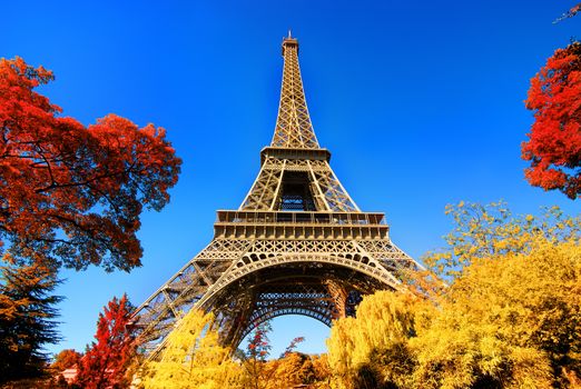 Eiffel Tower in autumn park
