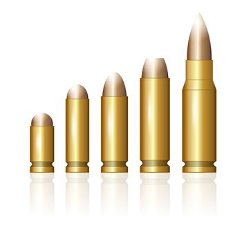 Set of Different Bullets Isolated on White Background
