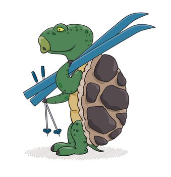 Turtle with blue skis ready for skiing.