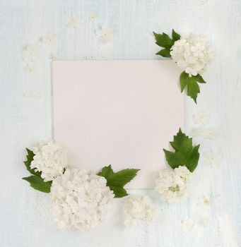 Scrapbooking page with white flowers