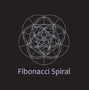 Fibonacci Spiral- The sacred geometry