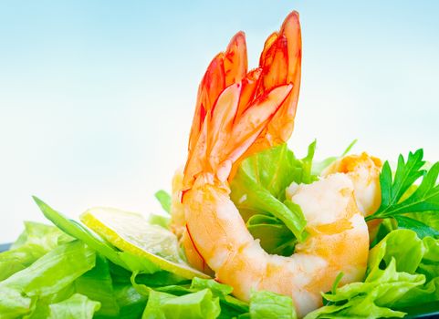 Tasty shrimp salad