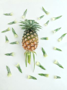 pineapple  and leaves