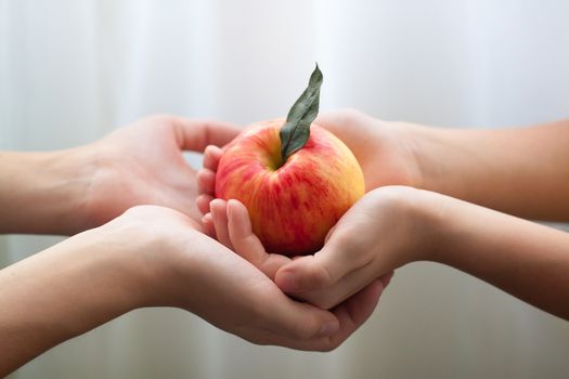 Apple of Friendship, Peace and Love in the children's hands